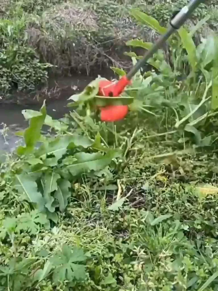 Триммер аккумуляторный садовый, Газонокосилка аккумуляторная