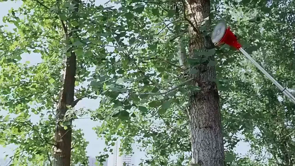 Триммер аккумуляторный садовый, триммер для травы аккумуляторный