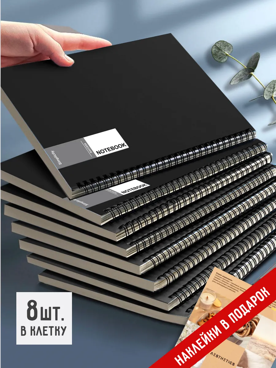 Набор тетрадей на кольках 48 листов