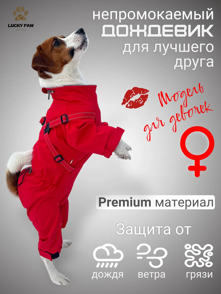 Дождевик для собак мелких и средних пород