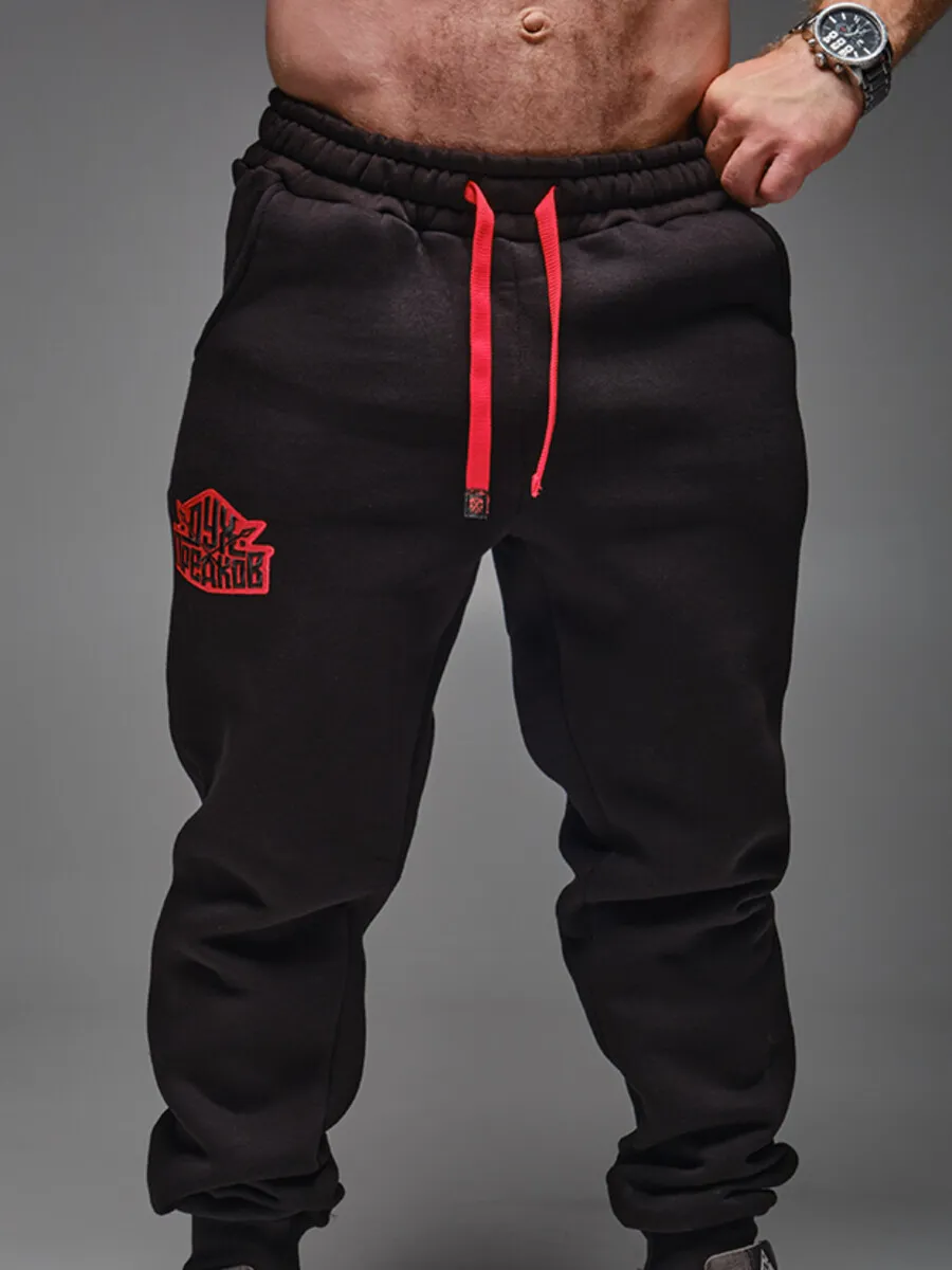 Штаны спортивные джоггеры с начесом Копье