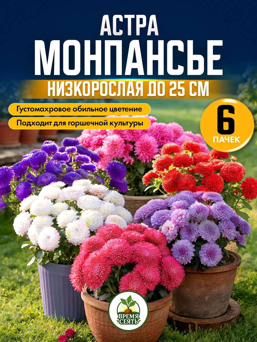 Семена астры низкорослой