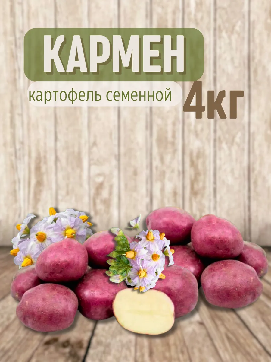 Семенной картофель Кармен 4 кг