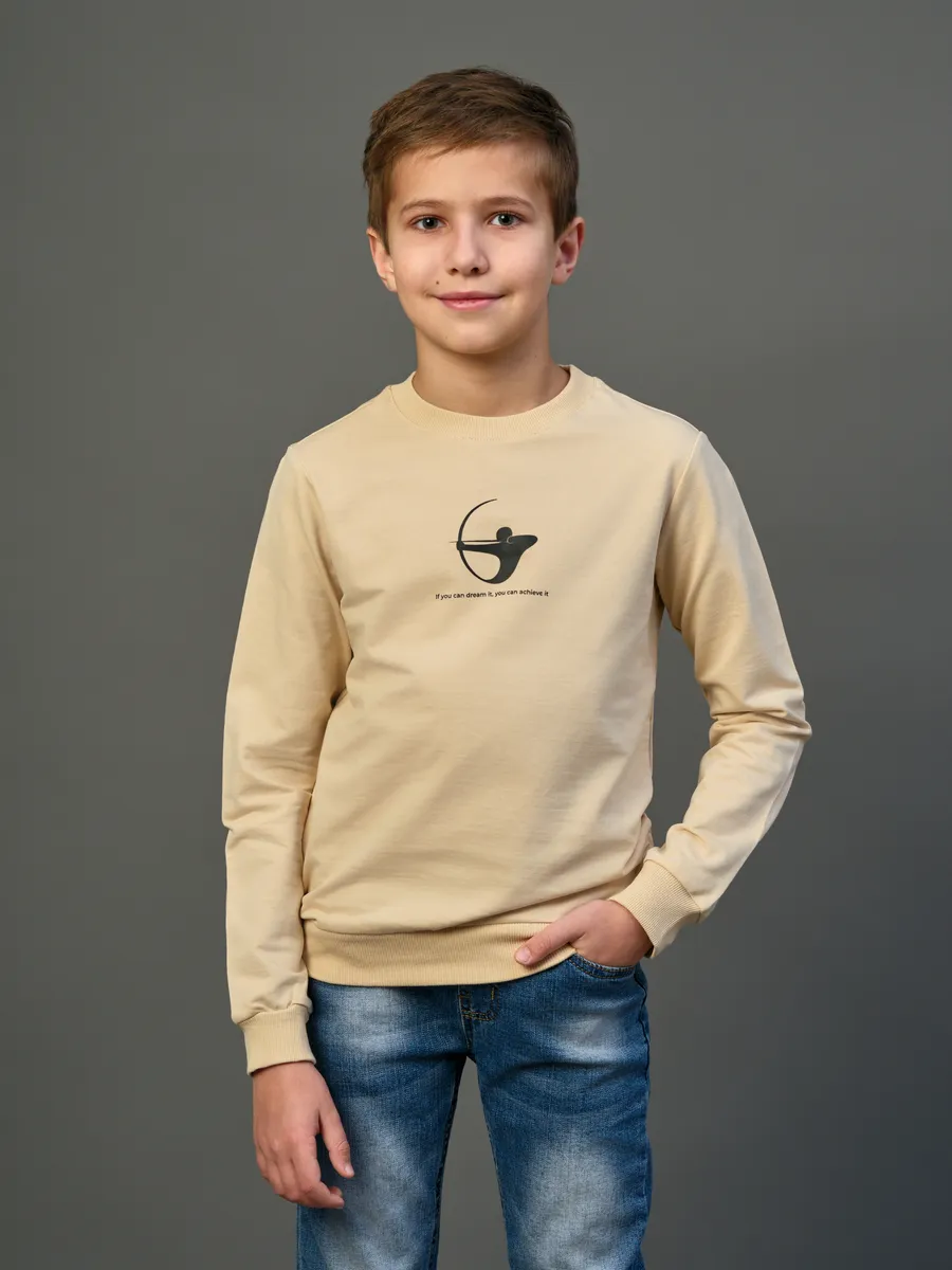 Толстовка свитшот без начеса с принтом