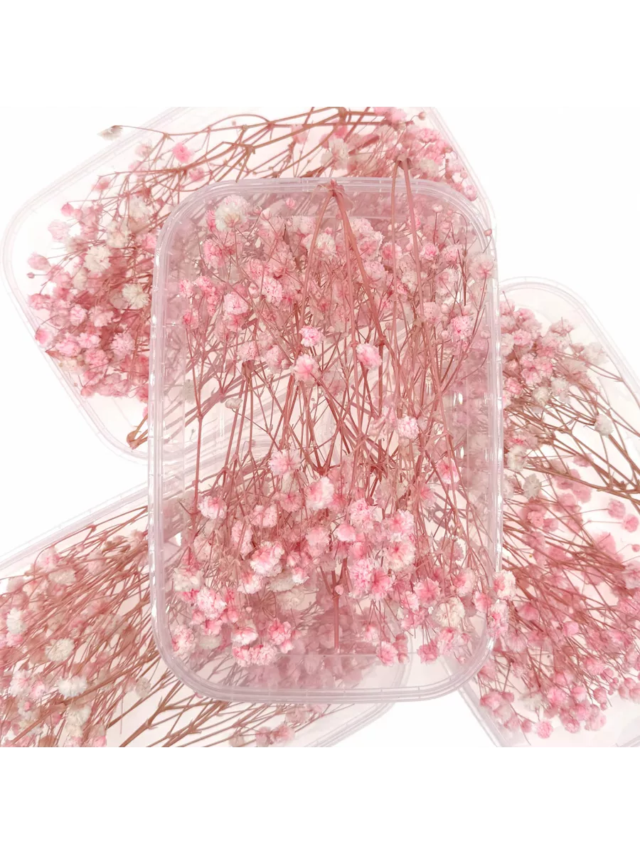 Натуральные сухоцветы для декора Гипсофилы