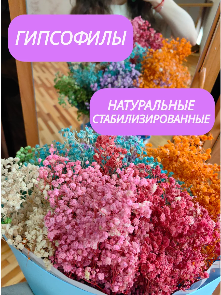 Гипсофила стабилизированная для декора