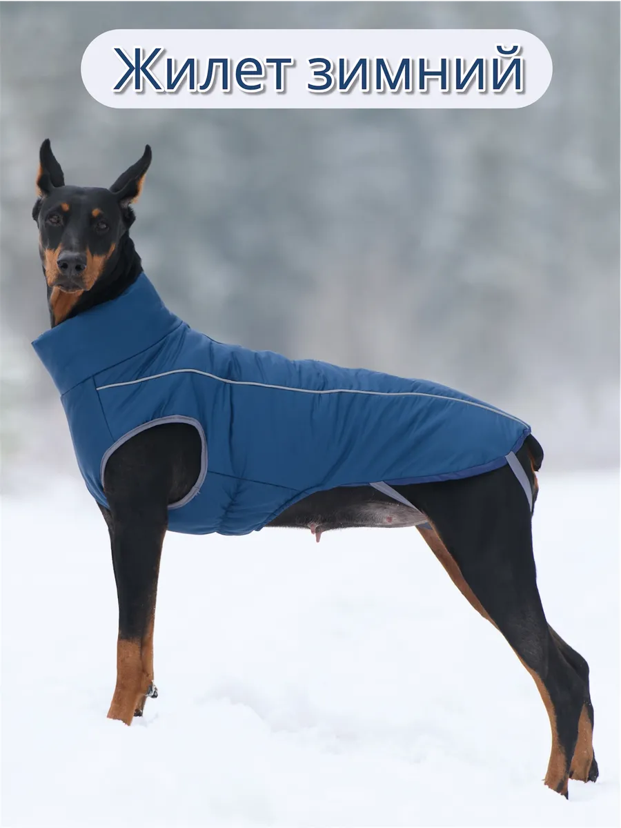 Зимний жилет для собак
