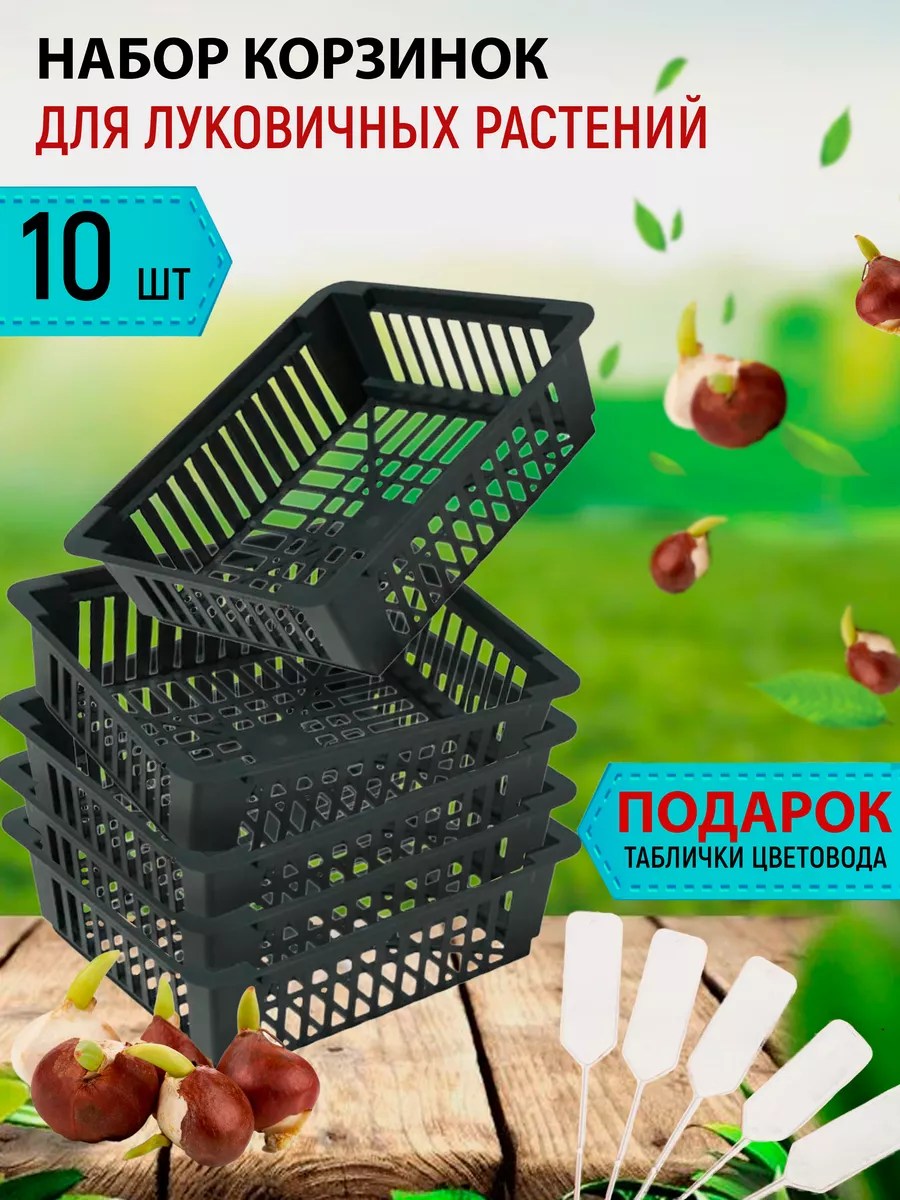 Корзинка для луковичных, 10шт в комплекте, 245х205х70мм