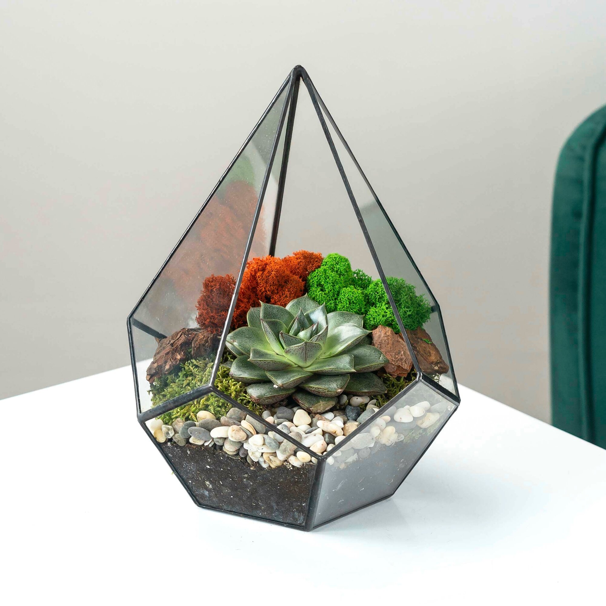 Флорариум Капля с суккулентом каменная роза