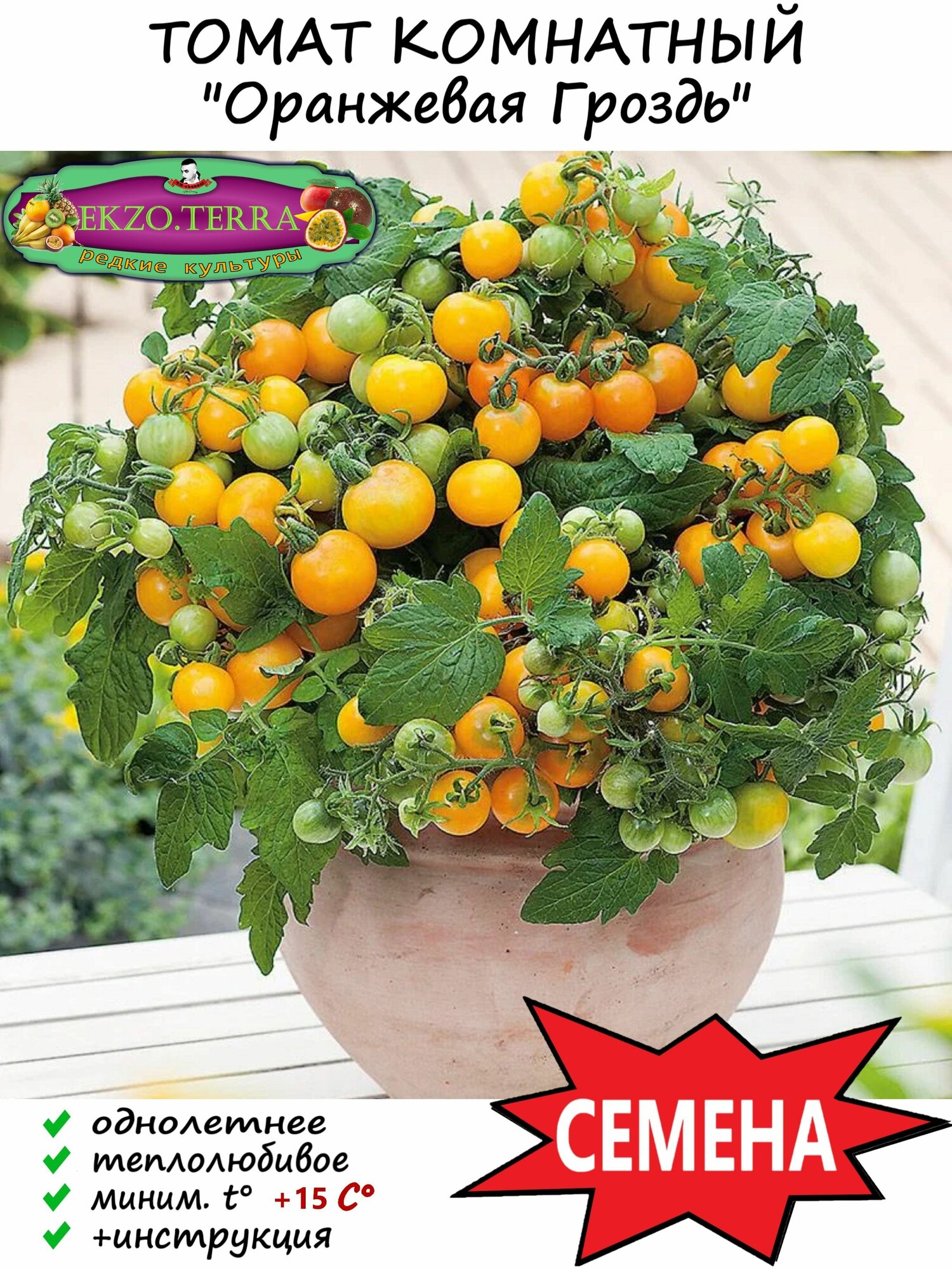 Семена Томат Комнатный Оранжевая гроздь 5 шт.