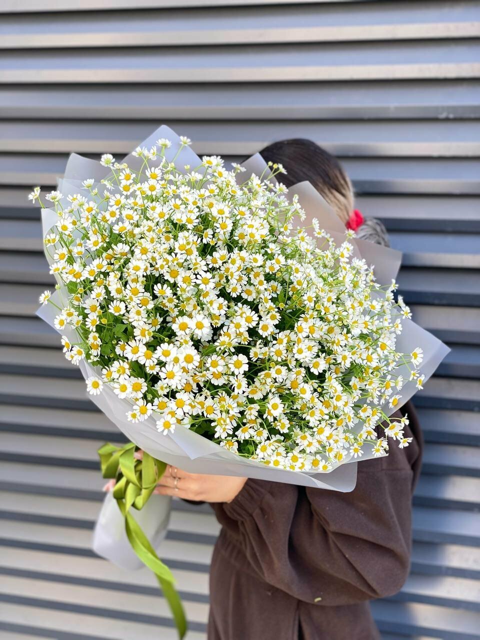 Букет Ромашки Камилла 101 штук