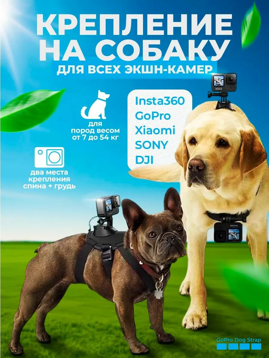 Крепление для экшн камеры на собаку Go Pro Dog strap