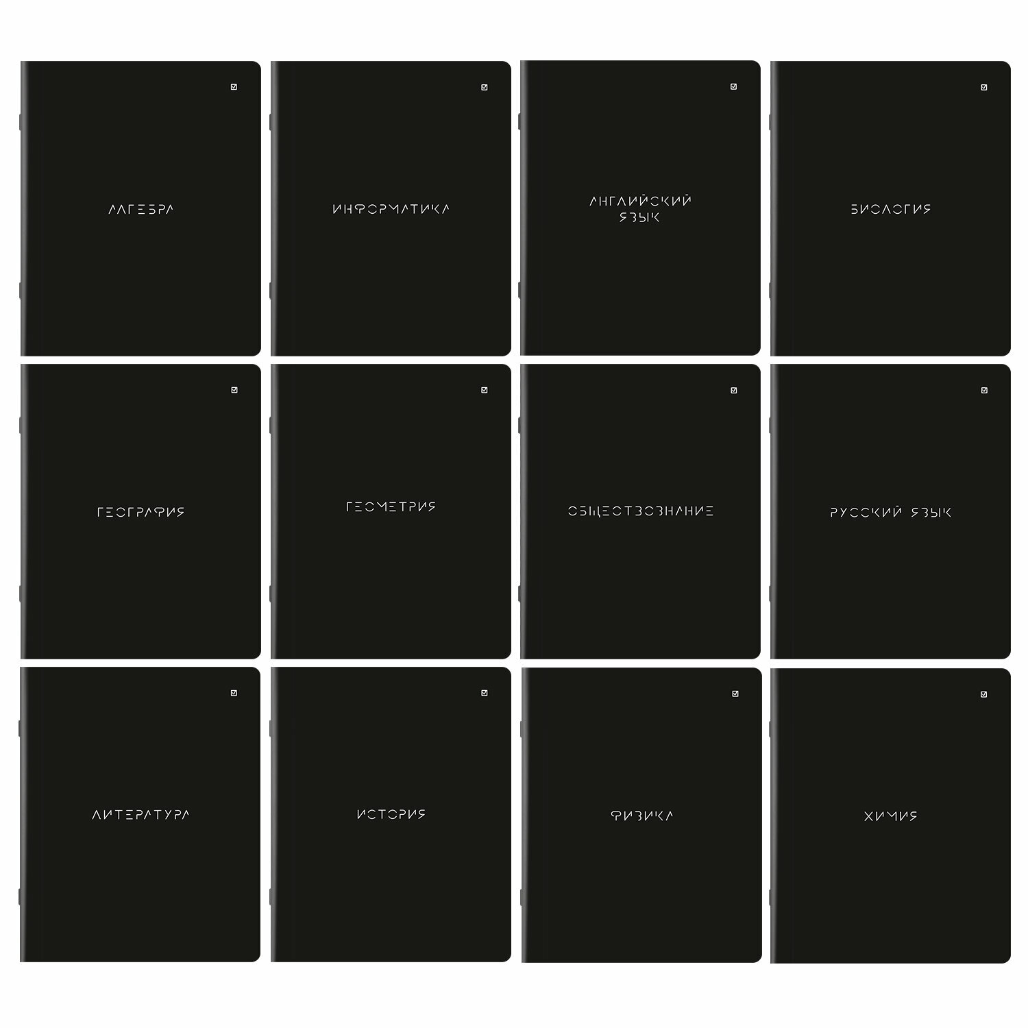 Тетради предметные, комплект 12 предметов, 48 л, матовая ламинация, BRAUBERG, MINIMAL, 404831