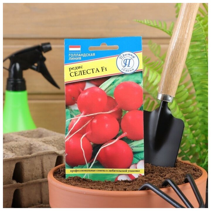 Семена Редиса Престиж Селеста, однолетние, легкорастущие, красные